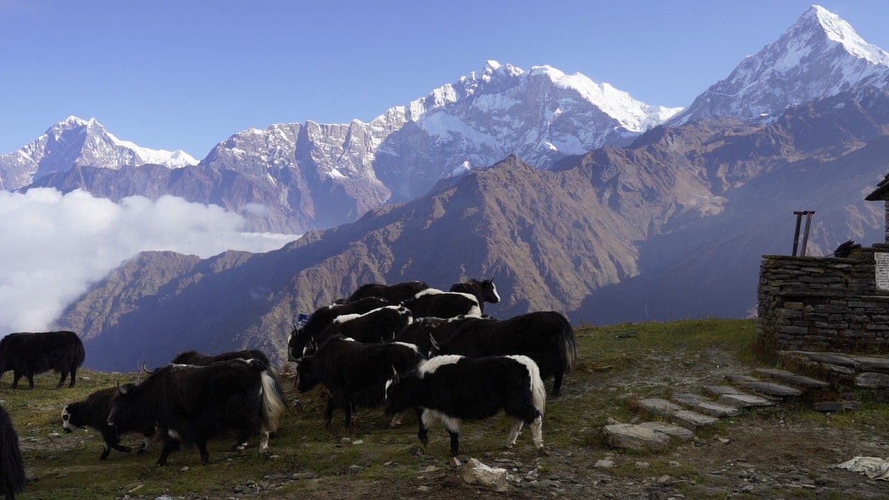 Thorong La Pass / Annapurna Circuit