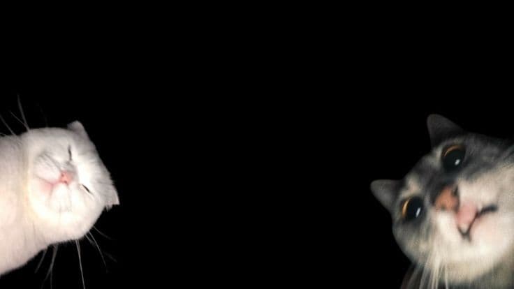 Astam Sarangkot Trek - Trek hero image